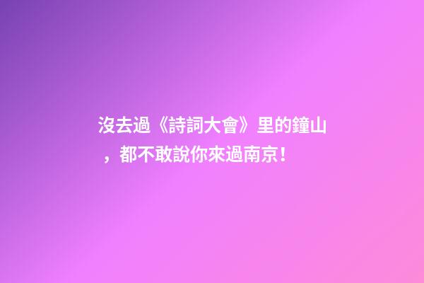 沒去過《詩詞大會》里的鐘山，都不敢說你來過南京！